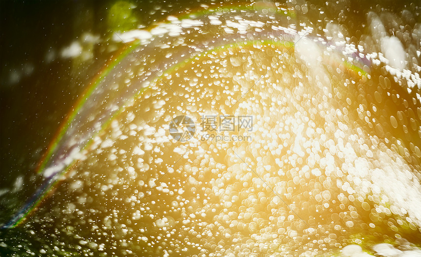 阳光下花园自然背景上喷水下雨图片