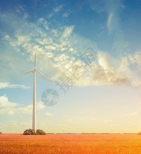 景观与风力发电机,田野与天空,生态图片