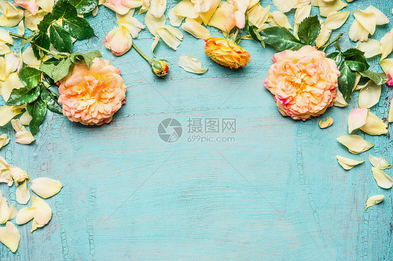 黄色粉红色玫瑰,叶花瓣浅蓝色背景,顶部视图,花卉边框图片