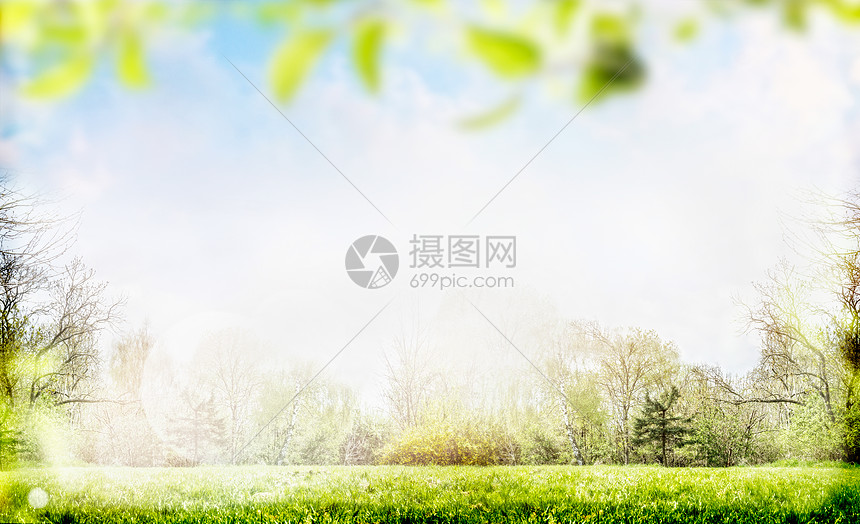 春天夏天的自然背景 花园公园里树叶树木草坪高清图片下载 正版图片 摄图网