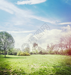 春天的自然背景,草坪,树木美丽的天空图片