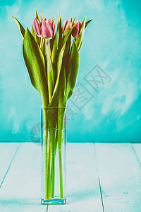 花瓶里湿粉色郁金香花图片