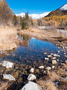 秋天的小高山池塘山谷雪貂,古梅尔,瓦尔DRsquoAosta,意大利,欧洲背景图片