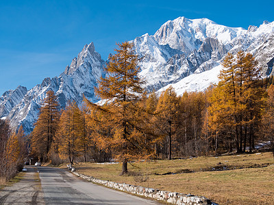 秋天的山路背景落叶松树雪峰的勃朗古梅尔,瓦尔DRsquoAosta,意大利,欧洲图片