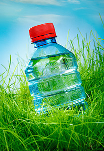绿色草地上的瓶水图片