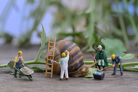 小蜗牛翻新你的家蜗牛工人雕像背景