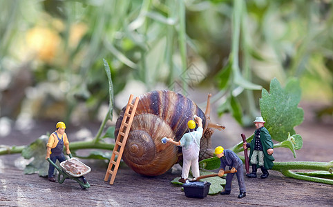 小蜗牛翻新你的家蜗牛工人雕像背景