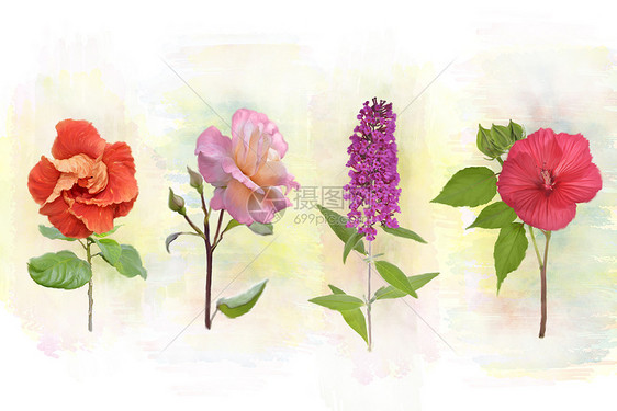 花卉背景的数字水彩画图片