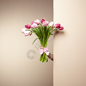 鲜花春背景图片 鲜花春背景素材 鲜花春底图 摄图网 鲜花春背景图片 鲜花春背景素材 鲜花春底图 摄图网
