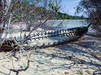 骨架船被扔进海岸的灌木丛里图片