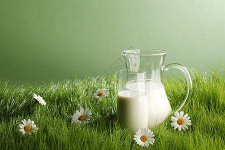 牛奶罐子璃新鲜的草甸与洋甘菊图片