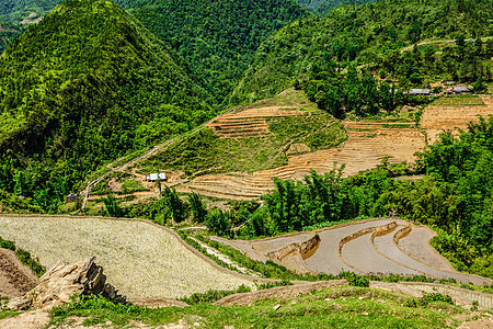 稻田梯田水稻田靠近猫猫村,靠近萨帕,越南图片