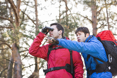徒步旅行者用望远镜,而朋友森林里给他看东西高清图片