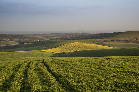 春天的早晨,恩格斯乡村的农业景观图片