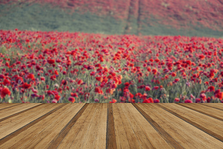 美丽的景观形象夏季田与木制木板地板图片