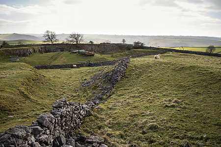 英国峰区美丽的景观,著名的石墙图片