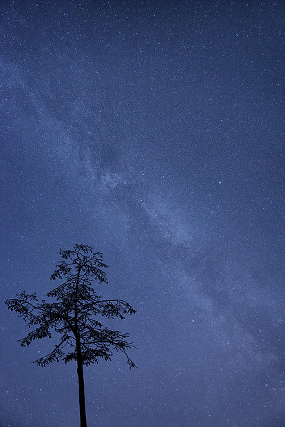 银河星系的夜空图像与自然轮廓图片