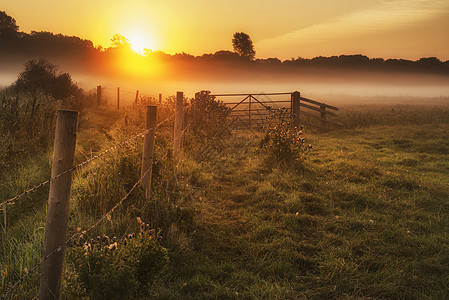 美丽的日出景观雾蒙蒙的英国乡村,阳光灿烂图片