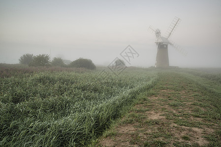 雾蒙蒙的英国乡村景观中的旧风车图片