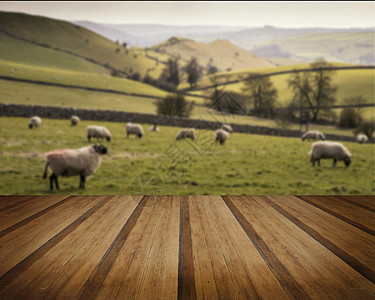 绵羊农场景观阳光明媚的日子,英国高峰区的形象图片