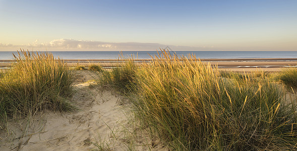 黄沙金沙滩上沙丘系统上令人惊叹的日出图片
