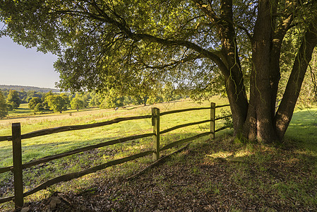 秋天美丽的英国乡村景观图片