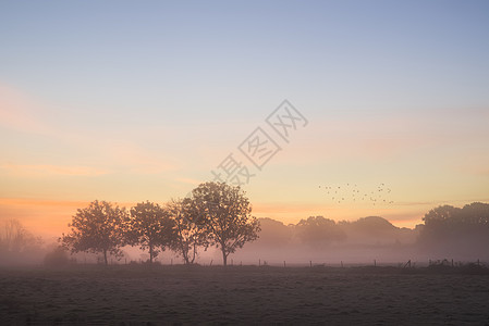 惊人的雾秋日出英国乡村景观形象图片
