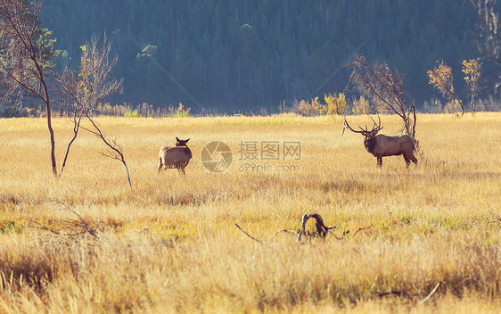 德尔斯洛基山NP,美国图片