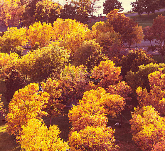 秋天的场景图片