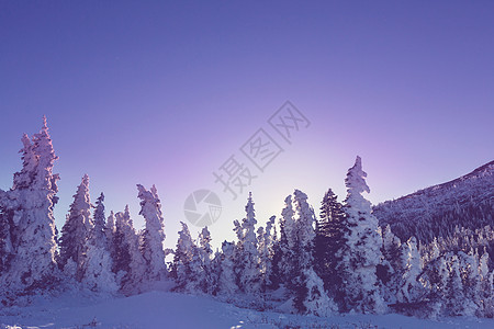 冬天冰川公园,蒙大,美国图片