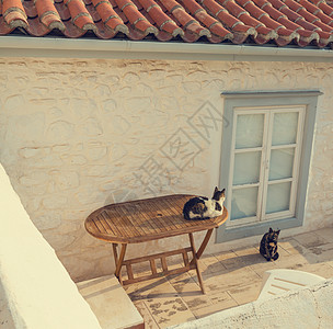 猫村庄希腊猫背景