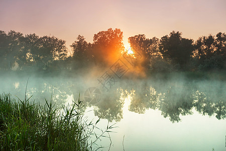 夏季寻常的河雾图片