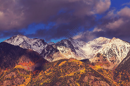 科罗拉多山的秋天图片