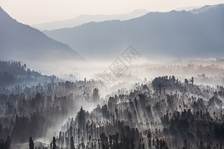 印度尼西亚爪哇岛溴火山附近森林日出图片