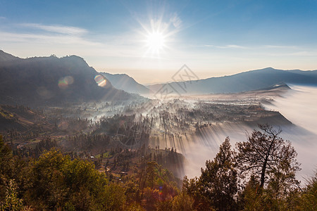 印度尼西亚爪哇岛溴火山附近森林日出图片