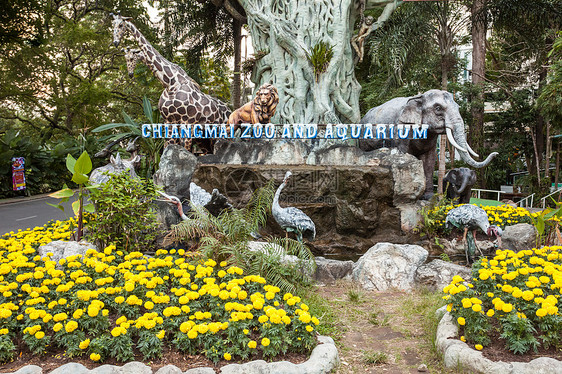 动物园水族馆个200英亩的动物园,位于泰国公路100号图片