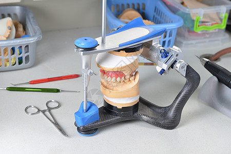 颌骨石膏模型基本牙科工具图片
