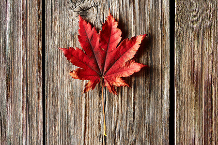秋天的枫叶古老的木制背景上高清图片