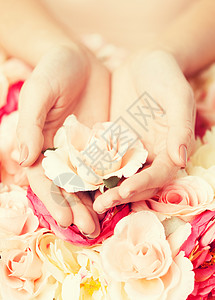 园艺疗法特写女人的手牵着玫瑰背景