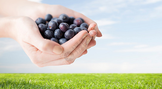 健康的饮食,节食,素食人们的靠近女人的手,着成熟的蓝莓草地蓝天背景上图片