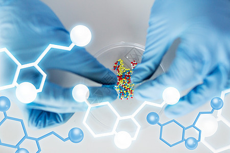 科学化学生物学医学人的分子结构的实验室中,科学家医生手握并将药丸内容物倒入培养皿图片