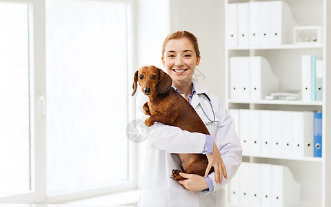 医学,宠物,动物,保健人们的快乐的兽医兽医诊所抱着达奇森德狗图片