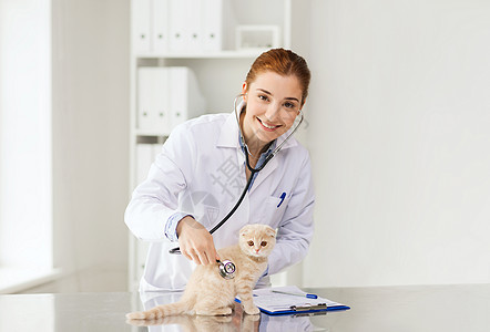 医学,宠物,动物,保健人的快乐的兽医医生用听诊器检查苏格兰折叠小猫兽医诊所图片