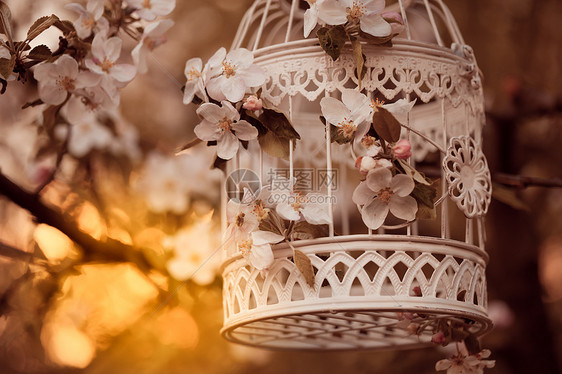 鸟笼苹果花树上,晚霞中鸟笼浪漫的装饰图片