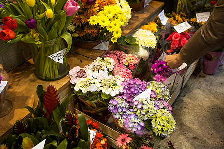 花卉市场美丽的新鲜绣球花花瓶出售图片