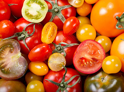 五颜六色的西红柿背景图片
