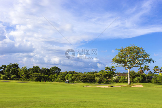 美丽的风景绿色高尔夫球场与蓝天图片