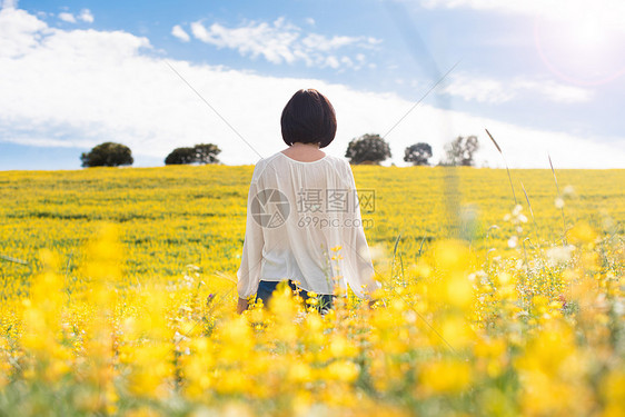 黄色田野里女人的背景图片