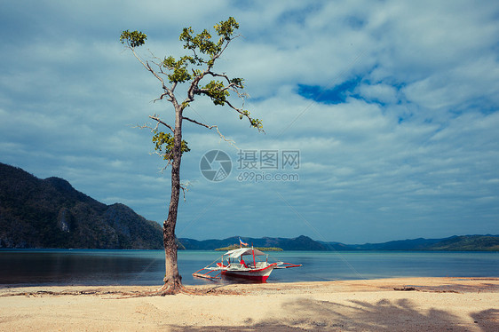 菲律宾热带海滩上棵树旁边的艘小船图片