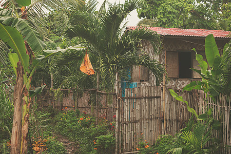 热带丛林中的座山迪建筑图片